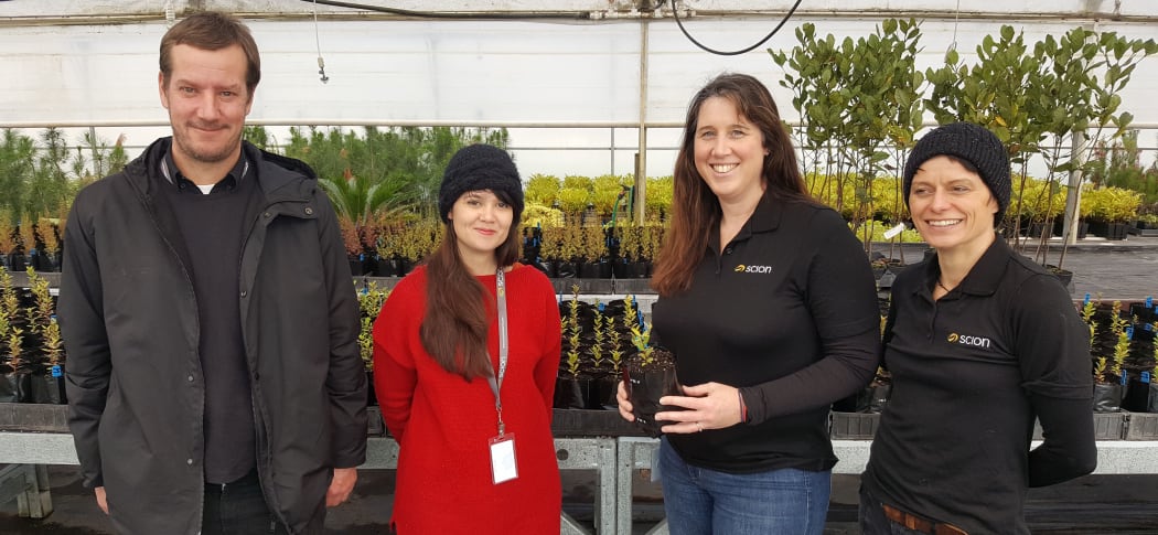 Jules Freeman, Julia Soewarto, Becky Ganley and Katrin Webb are carrying out research into the impact of myrtle rust on native plants.