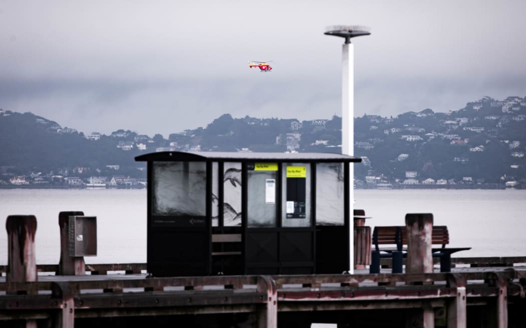 Search and Rescue are are working their way along Wellingtons east coast
