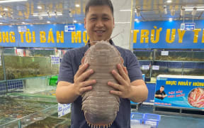 Study coauthor Dr. Thanh Son Nguyen, a researcher at Vietnam National University, holds B. jamesi in October 2024. The species of isopod is also found in the coastal waters of Vietnam, and this specimen weighs 2.6 kilograms (5.8 pounds).