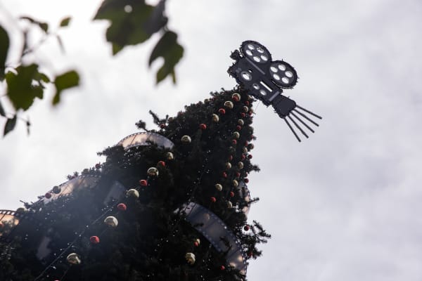 Christmas trees in Wellington