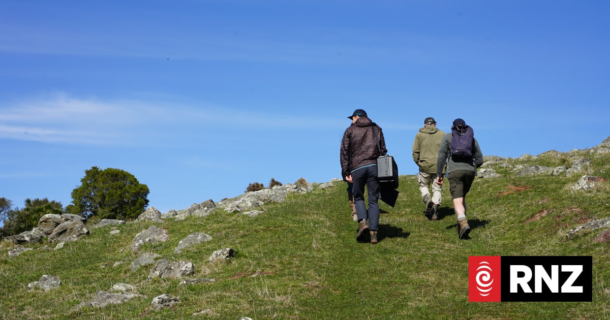 Country Life: 25 years of Banks Peninsula conservation