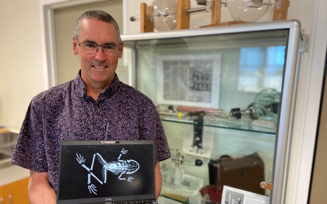Christchurch Hospital medical physicist Steven Muir with a recent X-ray of the 142-year-old frog.