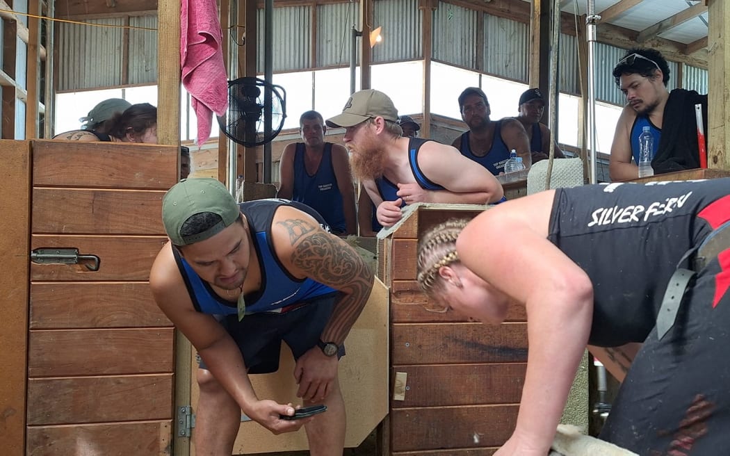 Amy Silcock gunning for a new 8-hour speed shearing record in a Wairarapa woolshed, watched by timekeeper and fellow speed shearer Jimmy Samuels.