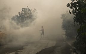 A local resident attempts to extinguish a fire in Nea Anchialos, near Greek mainland city of Volos, on July 27, 2023. Greek fire crews on July 27, 2023 scrambled to douse deadly wildfires raging for two weeks around the country before strong winds forecast for the day rekindled blazes. Hundreds of firefighters backed by European Union reinforcements were struggling to contain the flames on the islands of Rhodes, Corfu and Evia, in addition to a new front that erupted on July 26, 2023 in central Greece.
