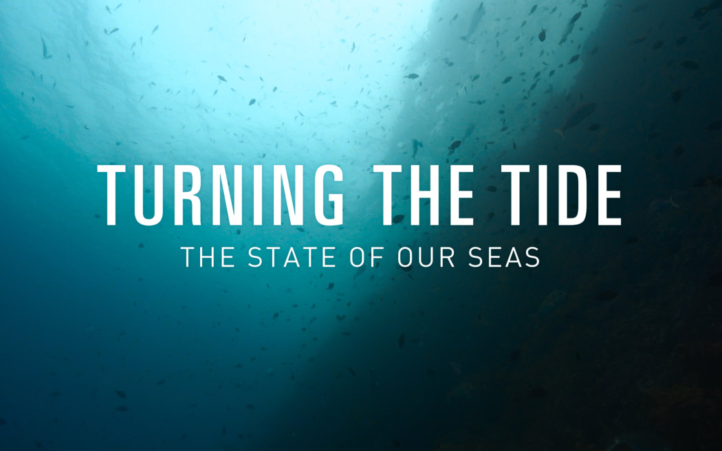 Underwater scene with fish swimming. Text reads "Turning The Tide: The state of our seas"