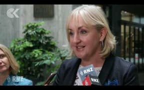 Amy Adams promoted to National's finance spokesperson: RNZ Checkpoint