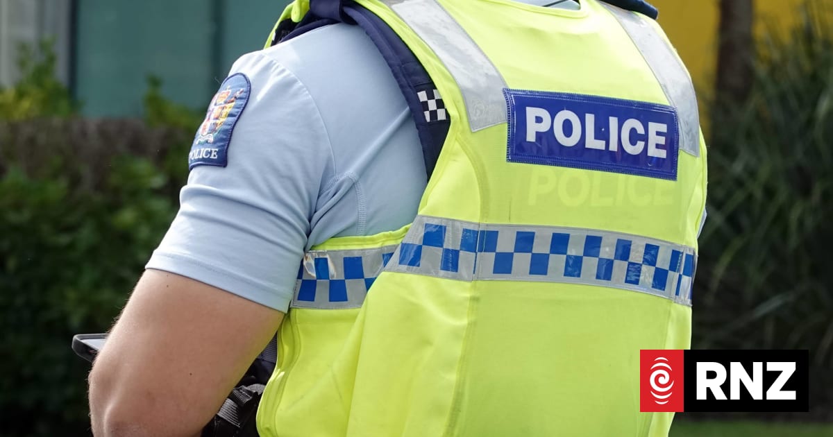 Young man charged with assault after attempted citizen's arrest