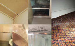 A composite of mouldy flats that students are living in.