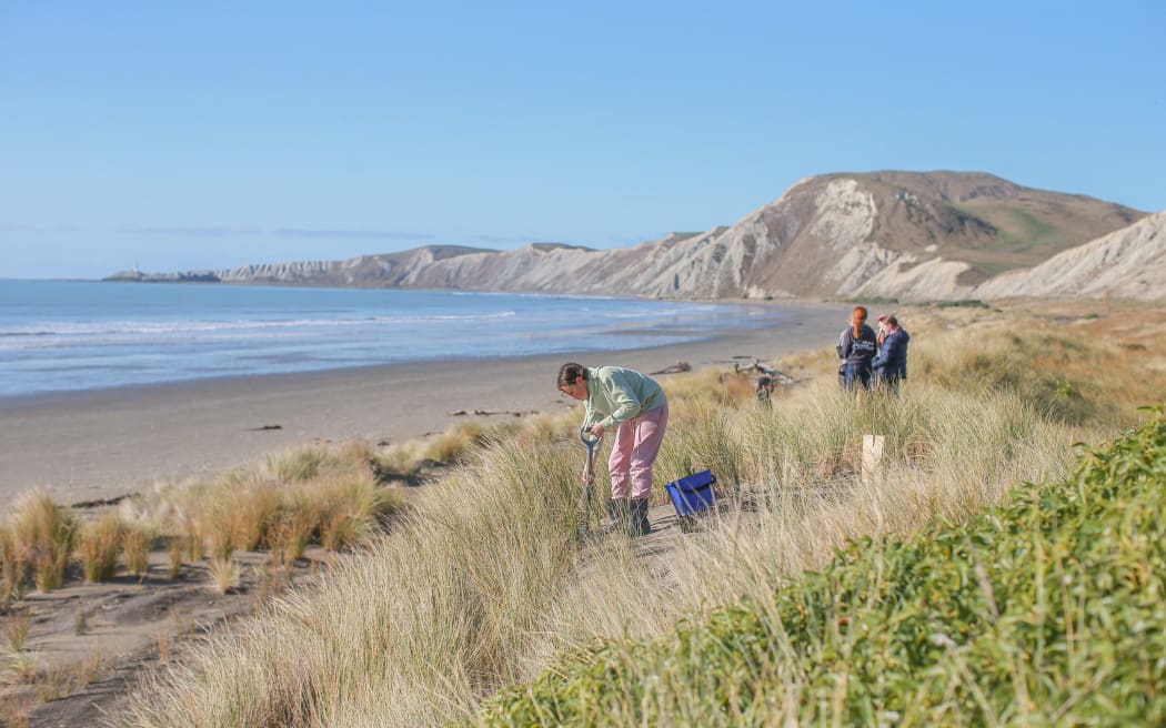 Significant natural areas, or SNAs, can be found along Marlborough’s east coast.