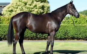 Brown Filly of Haunui Farm was sold for $2.4 million at the Karaka yearling sale on Monday, breaking a 25-year-old record.