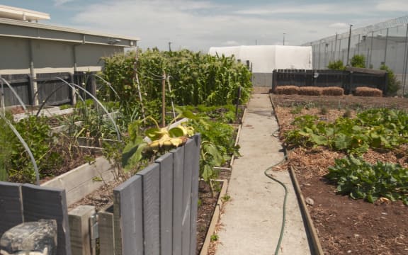 The garden made by young inmates at Christchurch Prison.