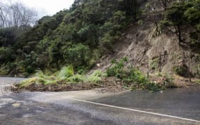 Slips cover the road along State Highway 35