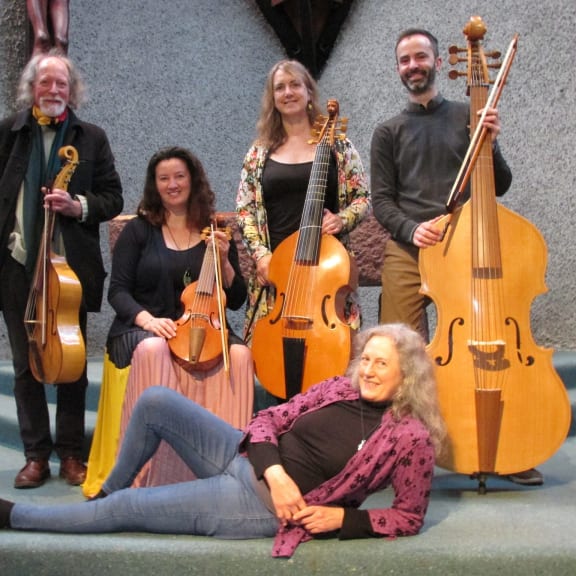 Palliser Viols