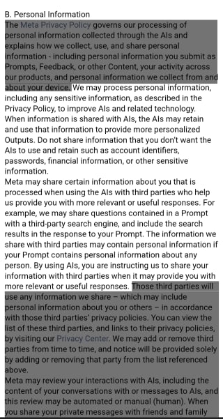 Meta AI outlines its terms and conditions