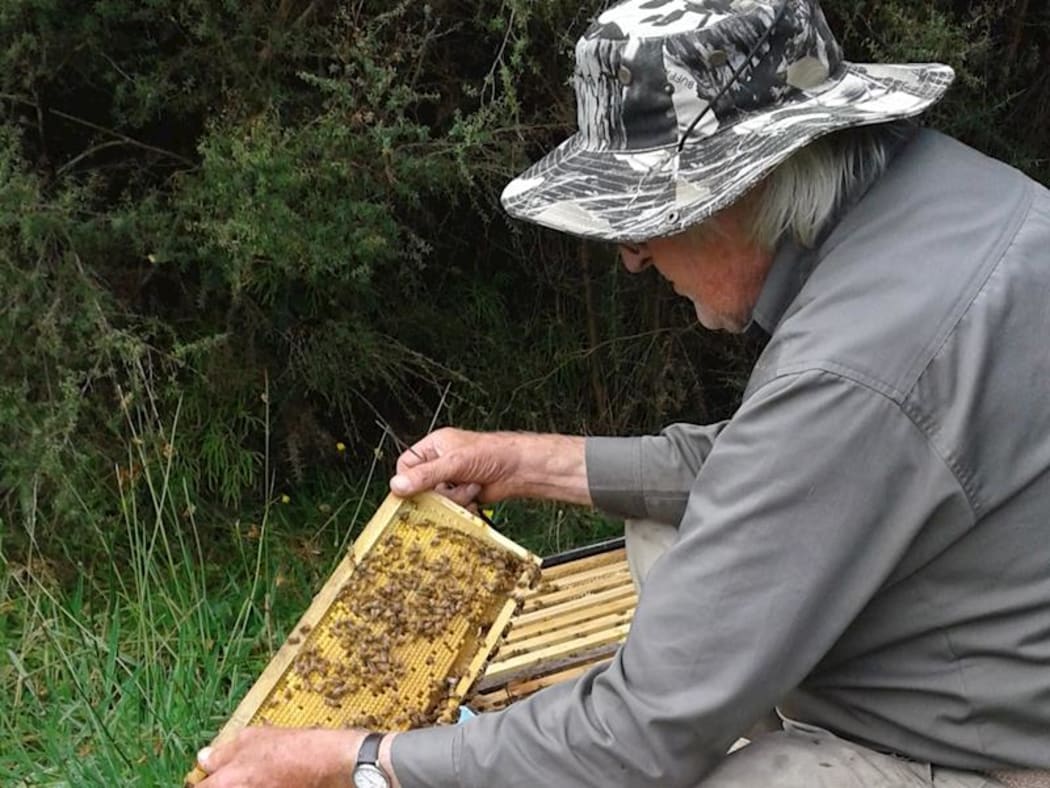 Westport beekeeper Gary Jeffery is urgently trying to raise money to keep his business running.