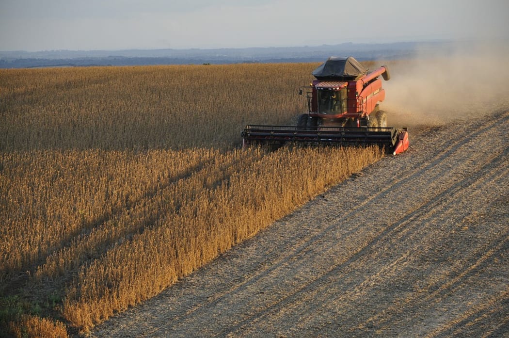 New Zealand is ill suited for crops like soy which are used to make plant-based protein products
