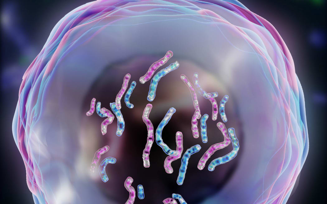 Genome slide