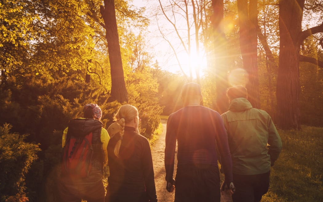 Group of friends walking with backpacks in sunset from back. Adventure, travel, tourism, hike and people friendship concept