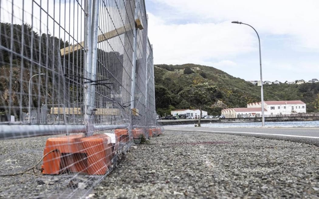 Fences at Shelly Bay, where a $500 million development is underway, are stopping penguins but a new nesting site has been set up.