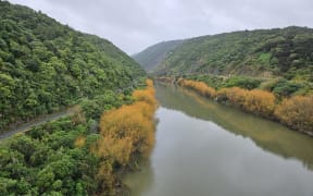 The Manawatū Gorge with the old State Highway 3 on the right side of the river.
