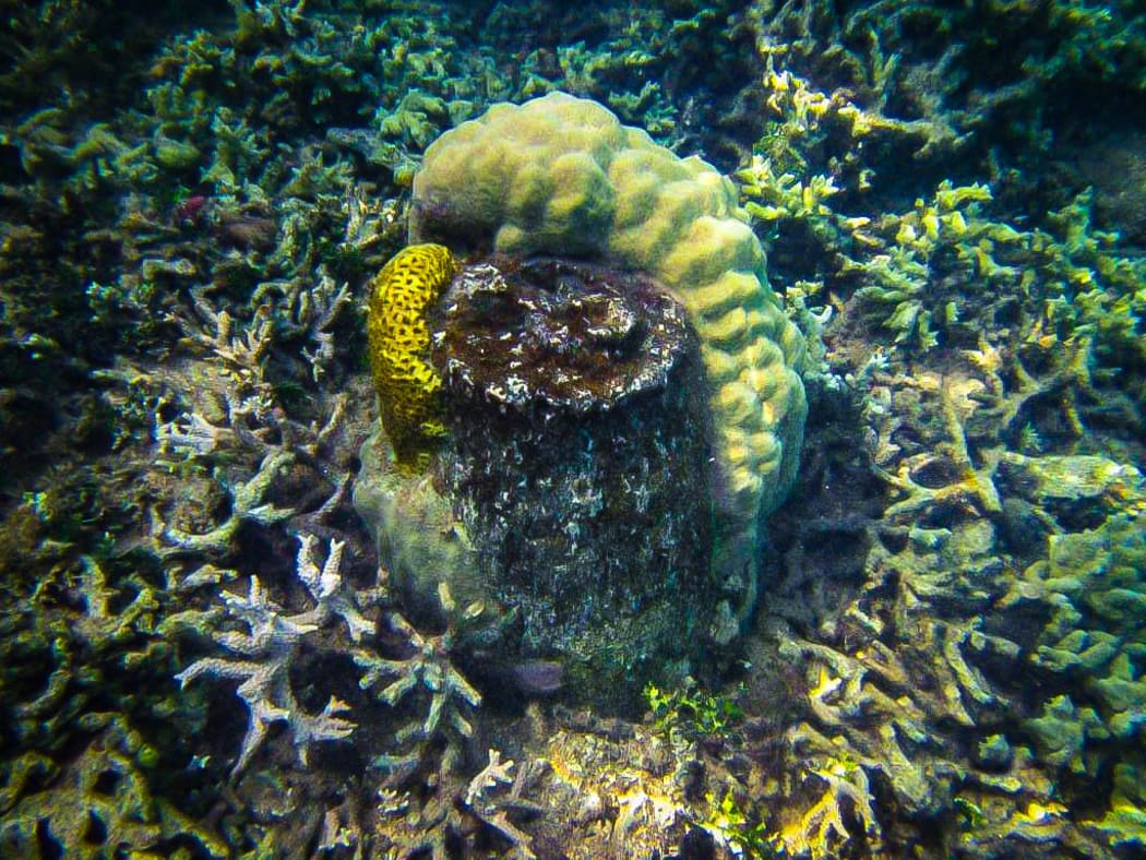 Unexploded bomb to be recovered in Solomon Islands