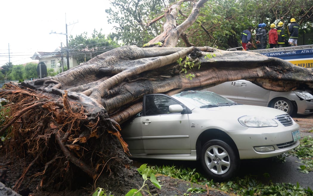 Cars were pinned downed by uprooted trees in the capital.