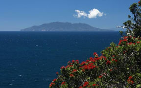 Great Barrier Island