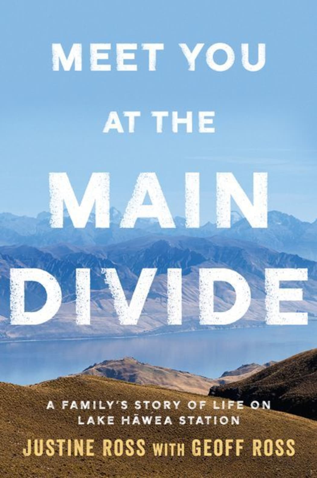 Meet You At The Main Divide book cover