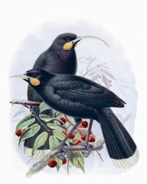 4qrky4m gallery image 5444