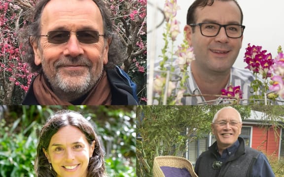 Clockwise from top left: Brian Boyd, Nick Albert, David Tipene Leach and Maria Bargh have all won awards in the 2020 Research Honours.