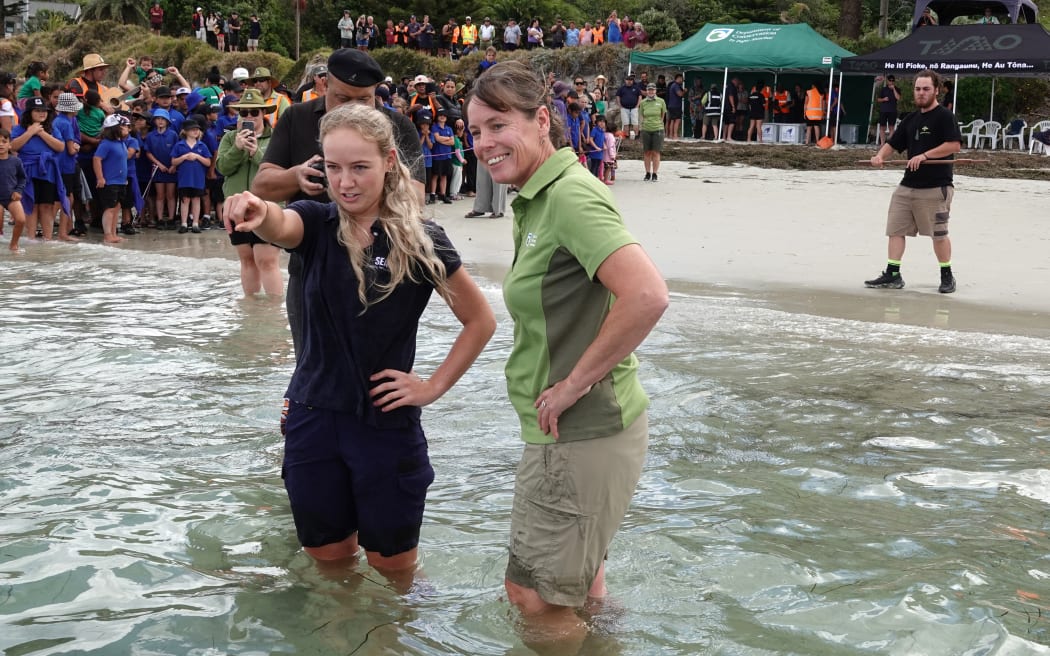 Kelly Tarlton’s aquarist Bella Jansen and DOC marine scientist Karen Middlemiss watch as the turtles swim vigorously out to sea.