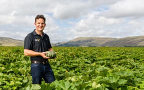 Hawke's Bay buttercup squash grower Shane Newman