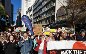 Teachers and supporters march in Wellington.