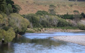 Waiau Rivercare Group