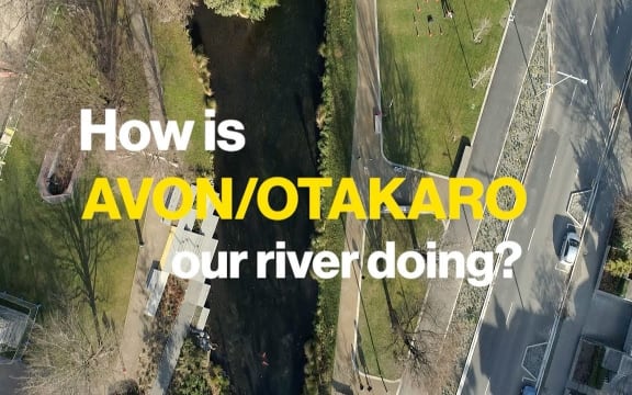 Avon/Ōtākaro - how is our river doing?