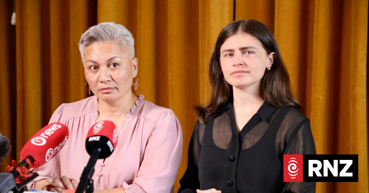 Greens would establish programme to guarantee jobs for all young Kiwis