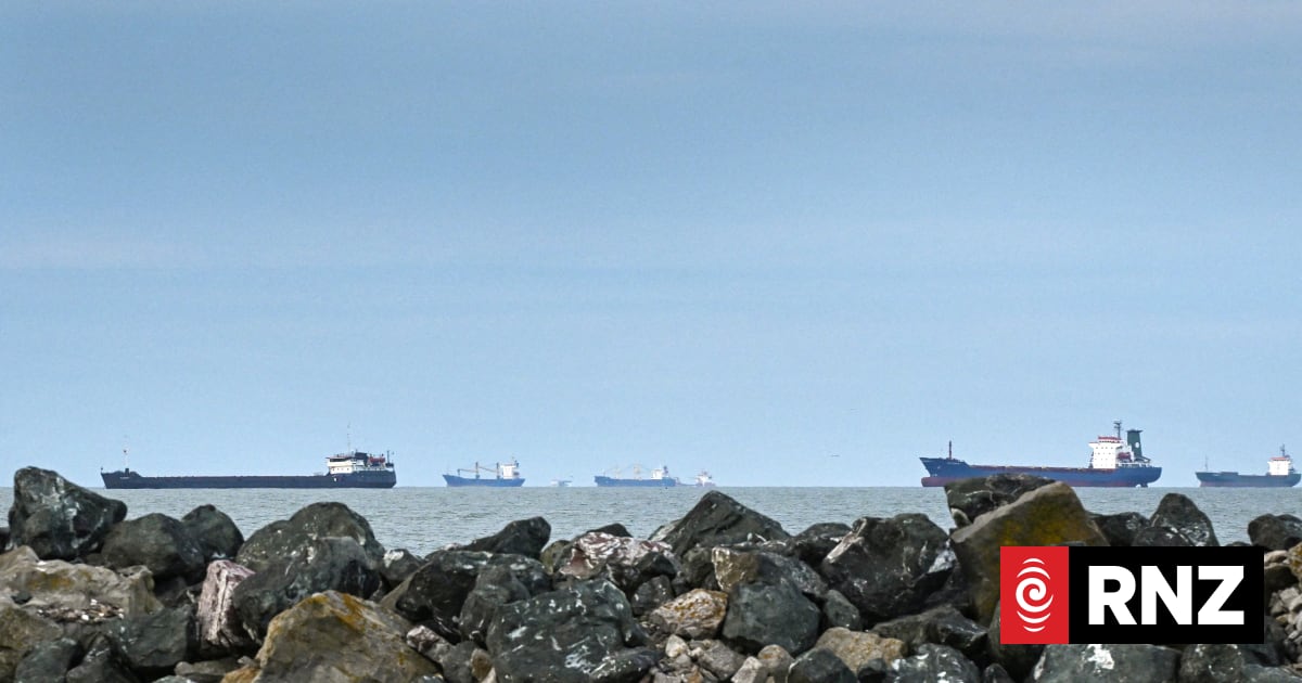Russian warship fires warning shots at cargo ship in Black Sea