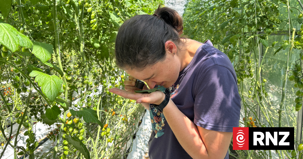 Our Changing World: Insect vibes