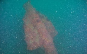 Blurred image of a rusted anchor underwater
