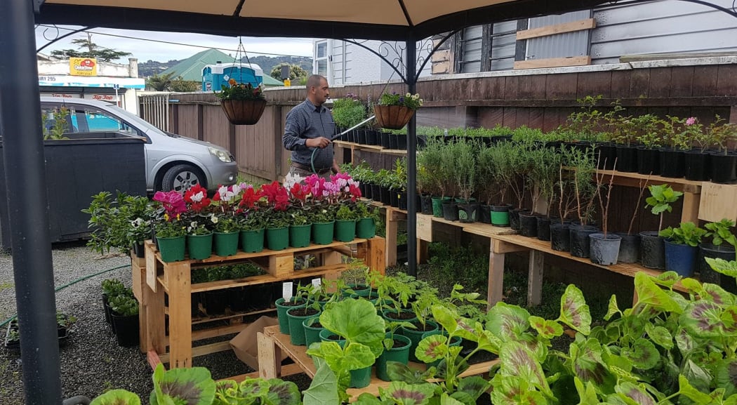 Khaled Al Jouja tends to his plants
