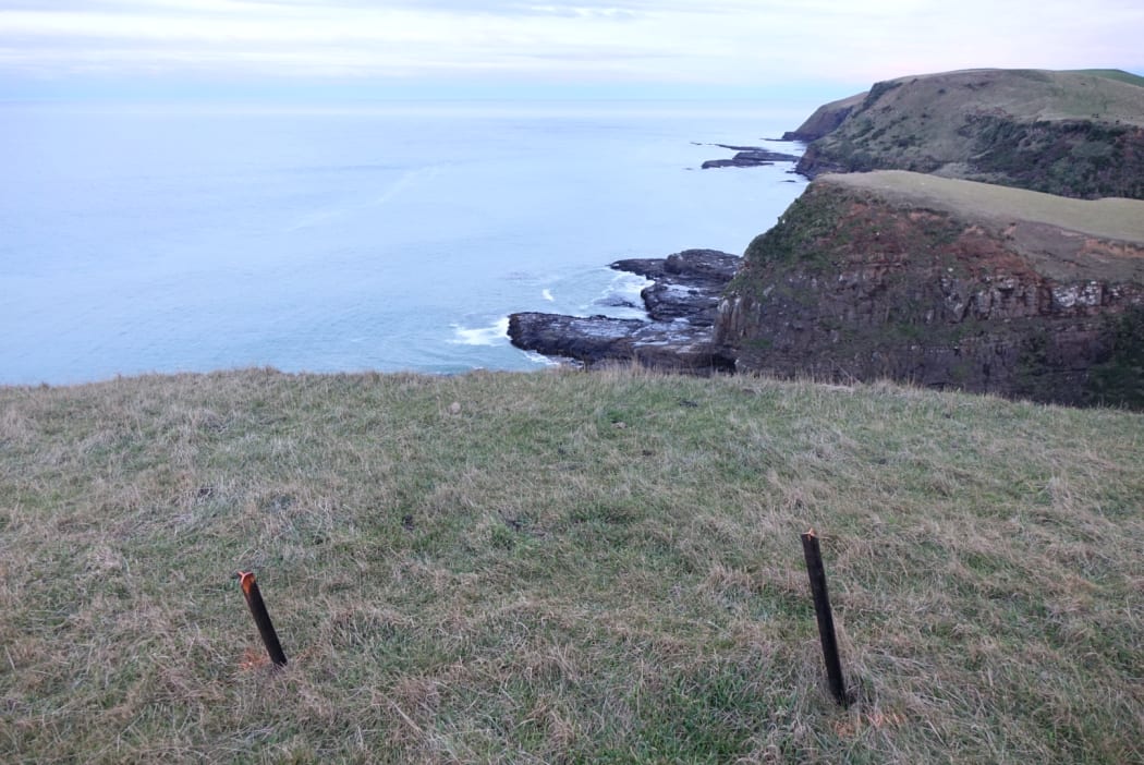 Two posts mark the spot where police believe the car went off the cliffs above Blue Cod Bay, near Curio Bay in the Catlins.