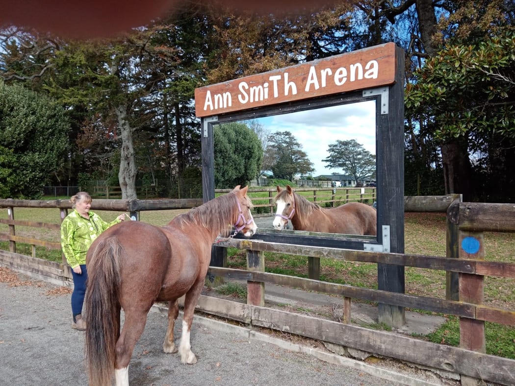 Levin Riding for the Disabled's pony Ollie arrives on site