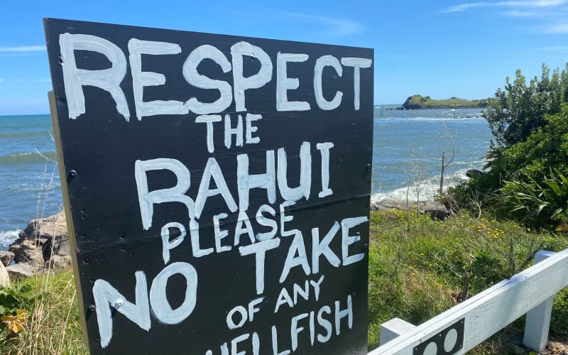 Hapū seek ocean status to save Taranaki kaimoana | RNZ