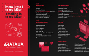 Arataua from Rotorua have re-issued their popular infographic for Te Wiki o te reo Maori 2019.