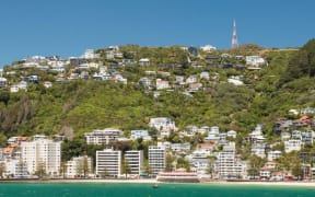 Oriental Bay