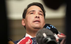 Simon Bridges addresses media at parliament