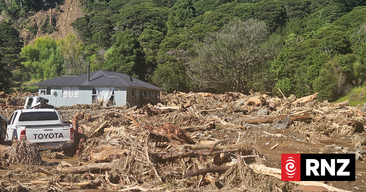 Greens call for Civil Defence payments to be activated for storm-hit communities