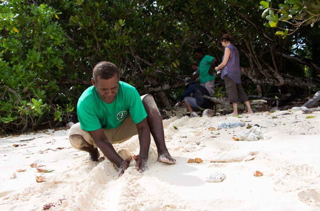 ACMCA conservation officer Dickson Motui builds a pathway for the hawksbill turtle hatchlings.