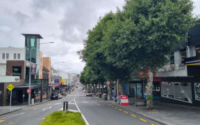 Signs have begun appearing on alder trees in the New Plymouth CBD marking them for the chop. The council is removing about a third of 60 alder trees in the first phase of a $10.3 million inner city makeover. The trees have been blamed for creating a slip hazard and damaging infrastructure.