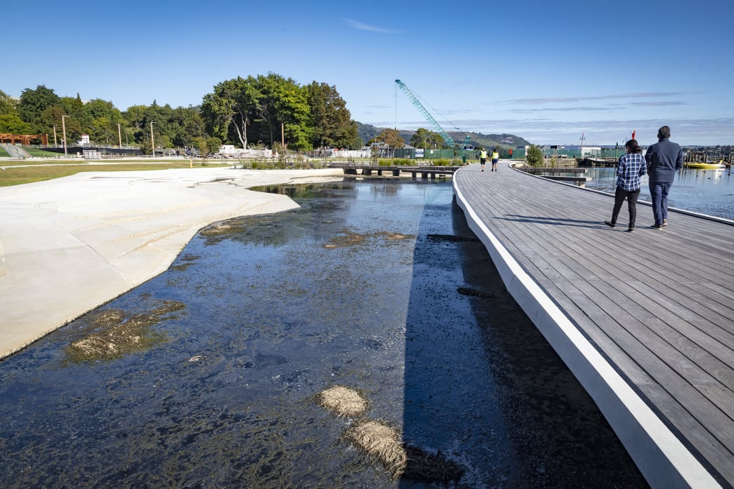 Lake weed on a lakefront development in  Rotorua is causing a nasty smell.
